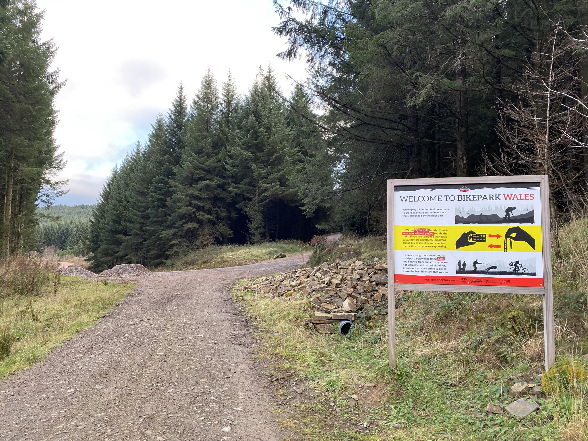 Wooded descending trails at BikePark Wales on Mynydd Gethin