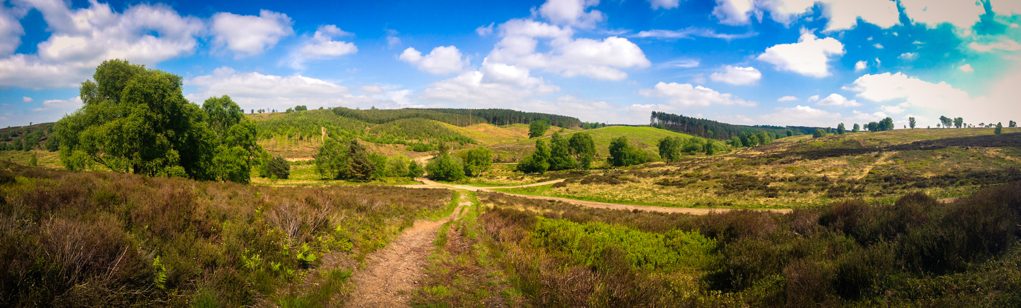 The Blue mountain-bike route crossing Sherbrook Valley at Cannock Chase